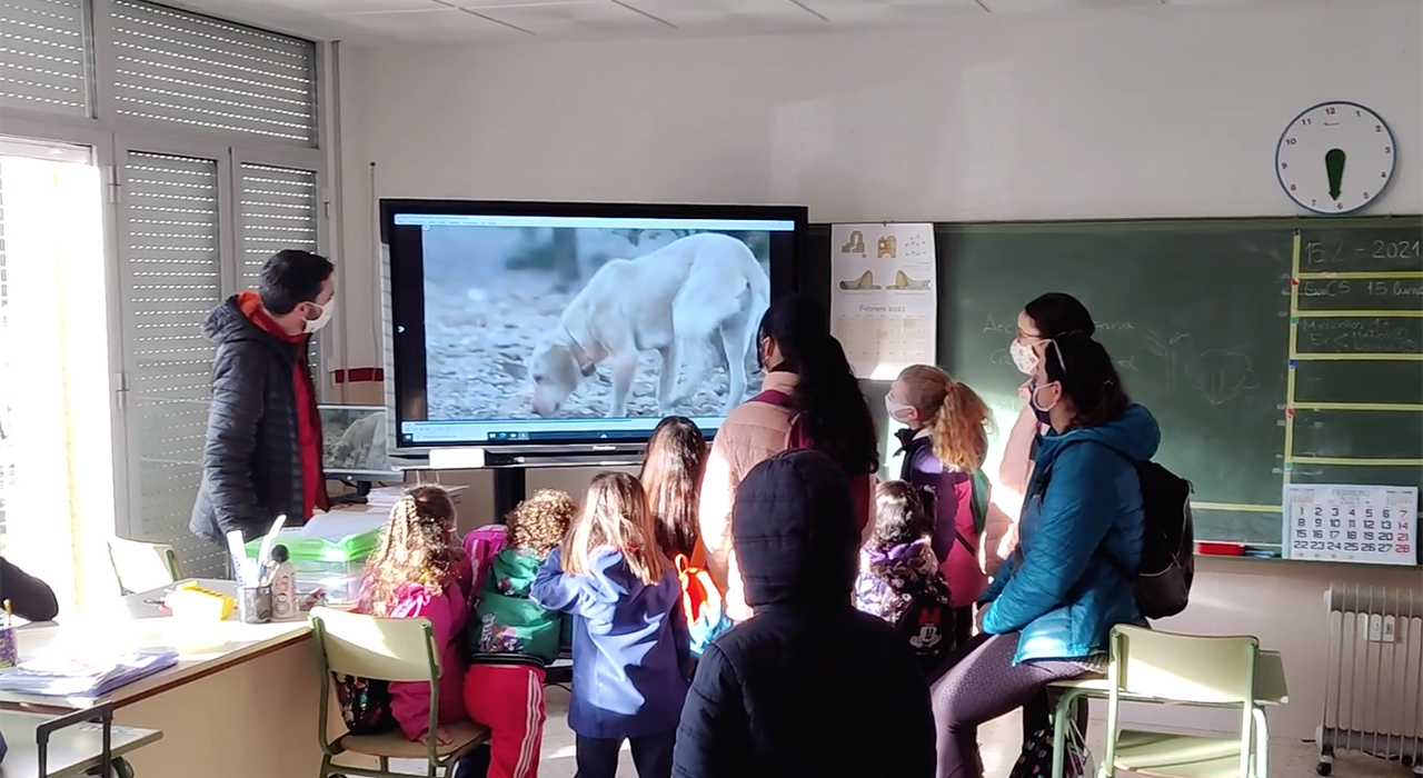 Generación docentes recurso