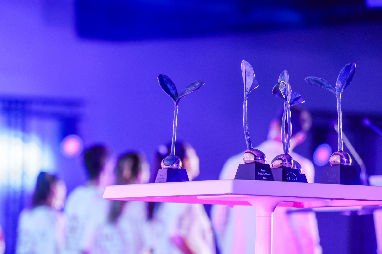 Oberta la convocatòria per als Premis Princesa de Girona 2026