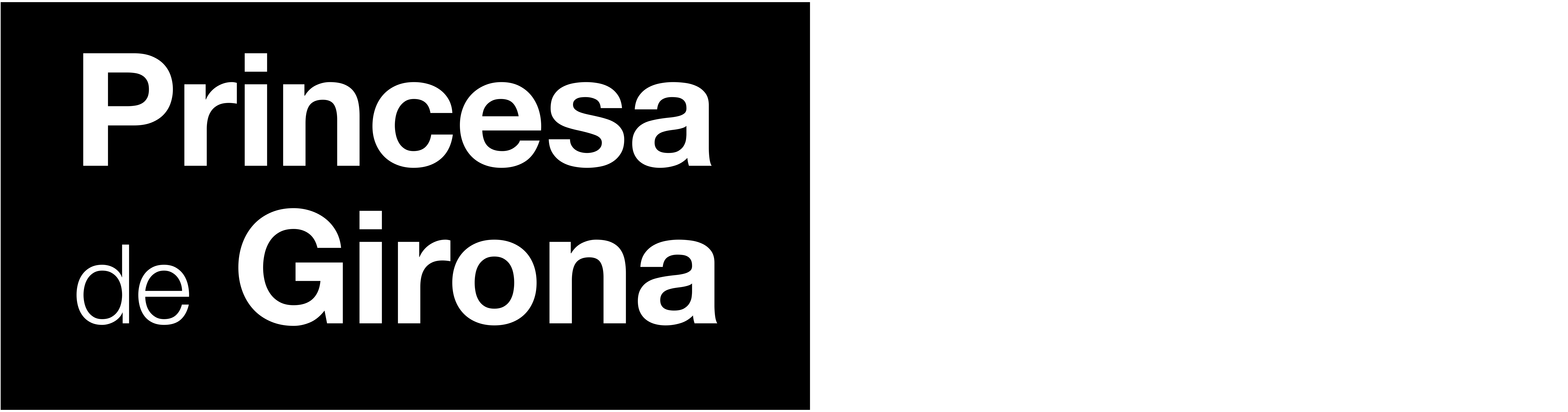 Fundación Princesa de Girona
