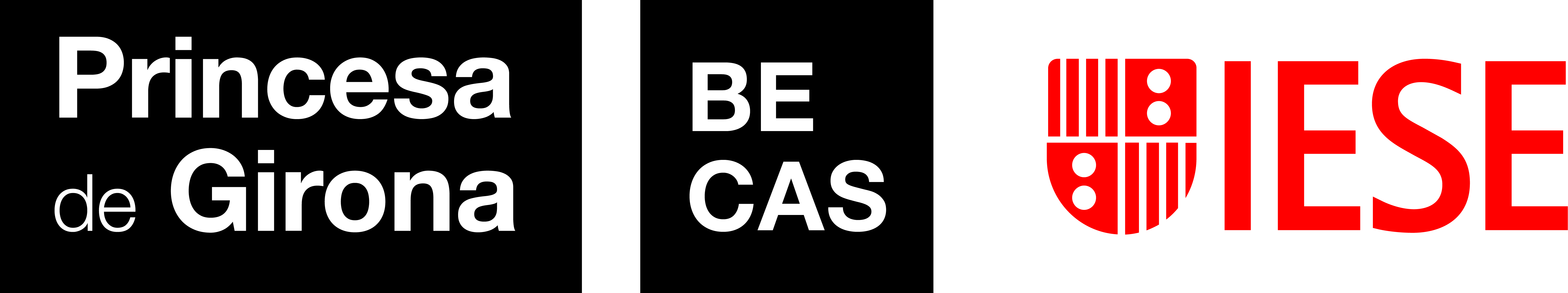 PG+BECAS+IESE-ES
